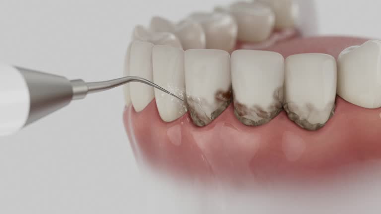 Reliable Dental contractor in Roselle, IL by Dentist Open Now
